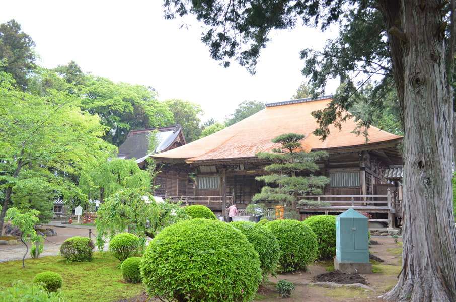 NBR. 29 Kokubunji